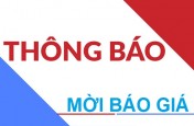 THÔNG BÁO CHÀO GIÁ V/v cung cấp cây mai vàng hạng mục trang trí cây xanh – hoa kiểng phục vụ Tết Bính Ngọ năm 2026